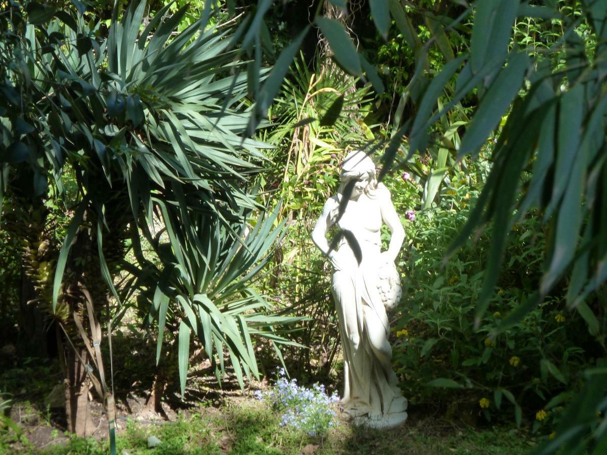 Maison Butterfly Bed and Breakfast Puissalicon Εξωτερικό φωτογραφία