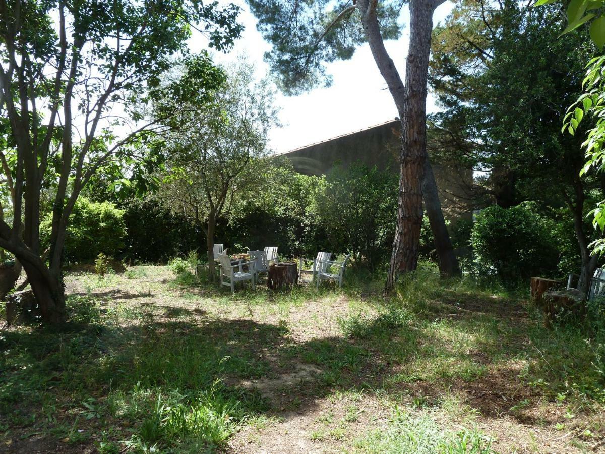 Maison Butterfly Bed and Breakfast Puissalicon Εξωτερικό φωτογραφία