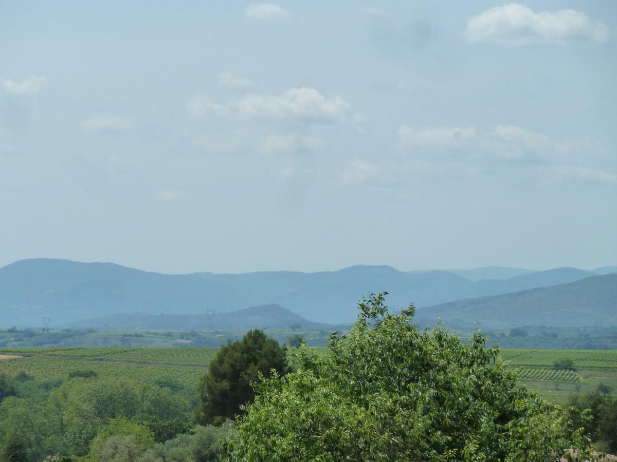 Maison Butterfly Bed and Breakfast Puissalicon Εξωτερικό φωτογραφία