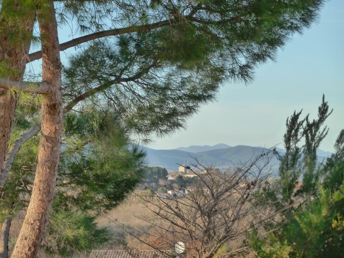 Maison Butterfly Bed and Breakfast Puissalicon Εξωτερικό φωτογραφία